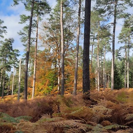 Апартаменты Au Coin Des Fagnes Жале Экстерьер фото